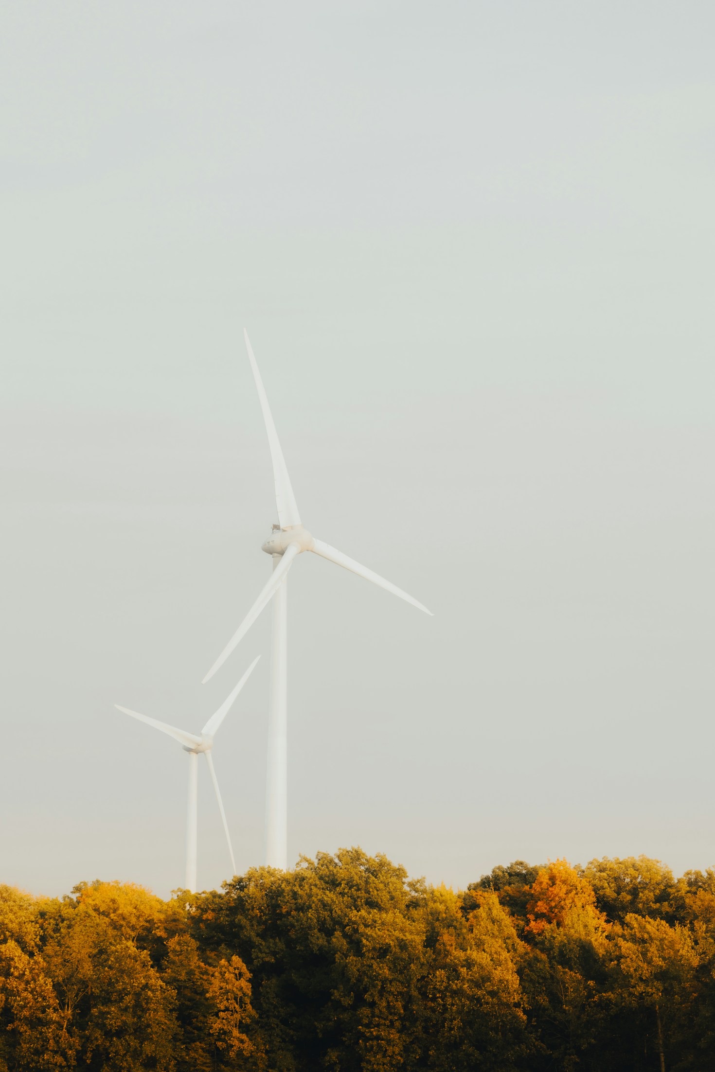 Como participar e fazer a diferença pelo clima